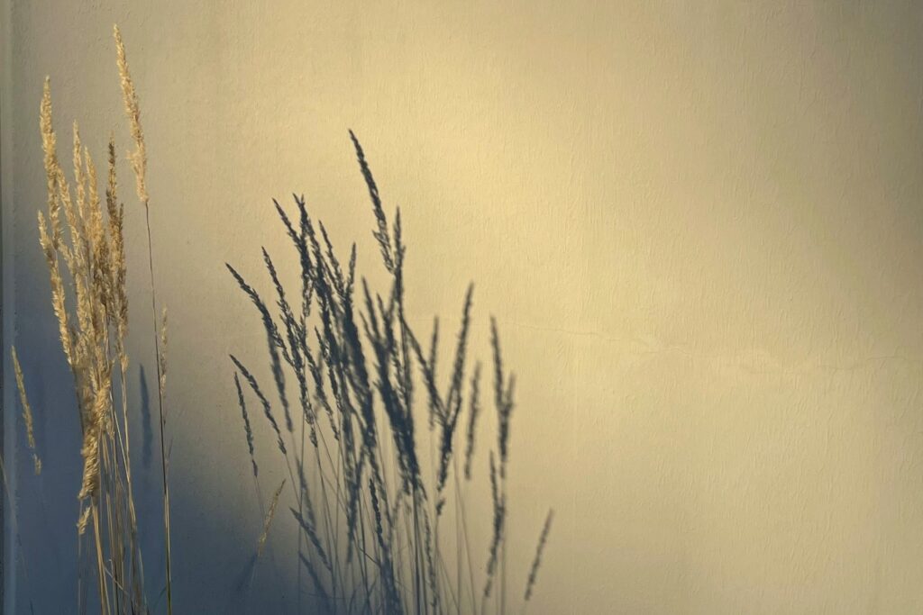 Sophrologie pour femme de 39 ans débordée par la charge mentale. Un accompagnement pour apprendre à poser des limites et retrouver du temps pour soi.